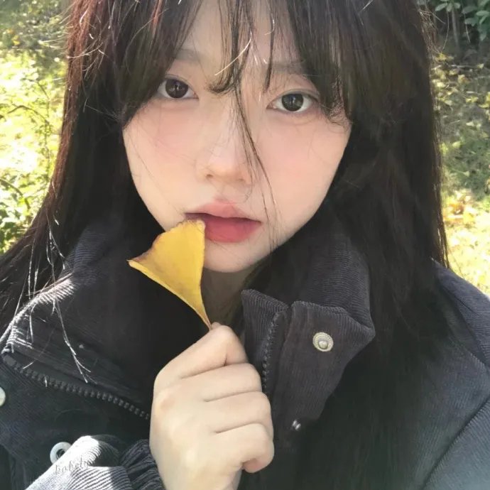 盗贼生涯
